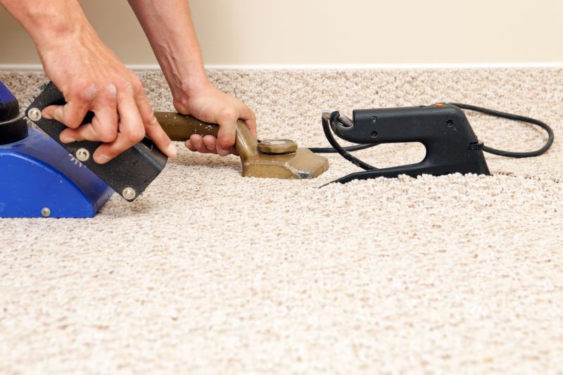 Professional Carpet Installers
